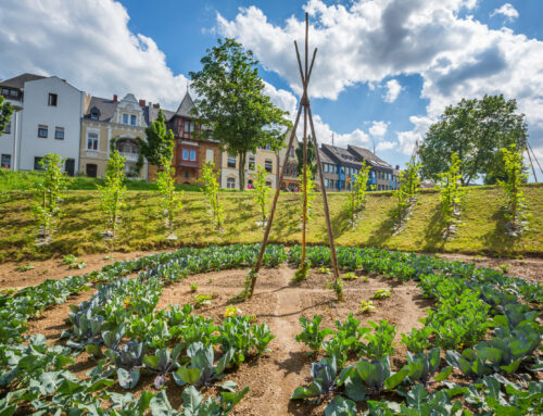 Andernach eats better – How the edible city and LTS are shaping the future together