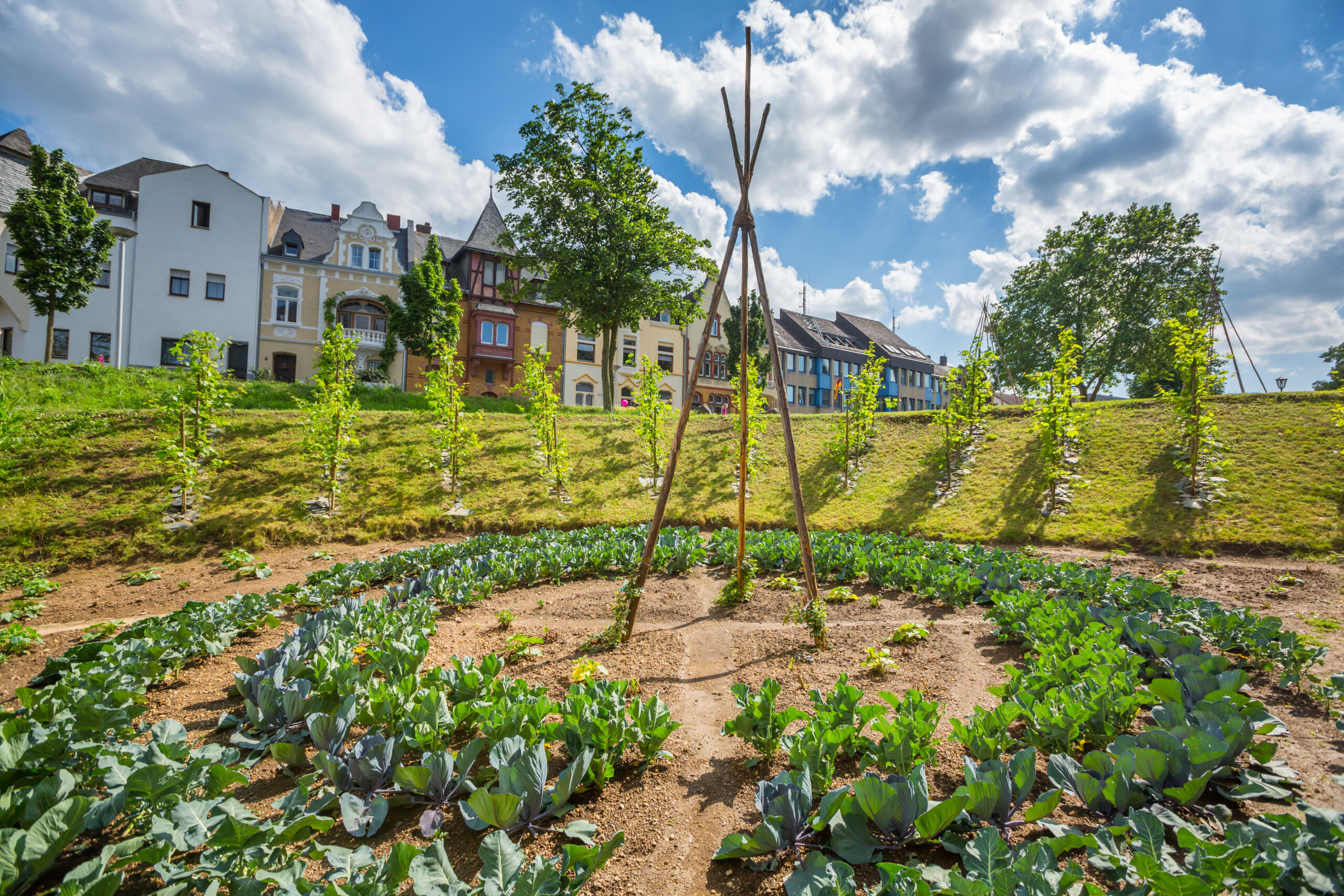 In front of a row of residential buildings and under a blue sky is a planted green area
