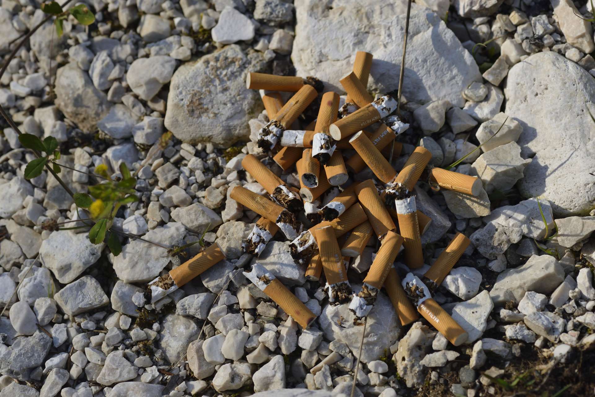 Rauchen schadet auch der Umwelt